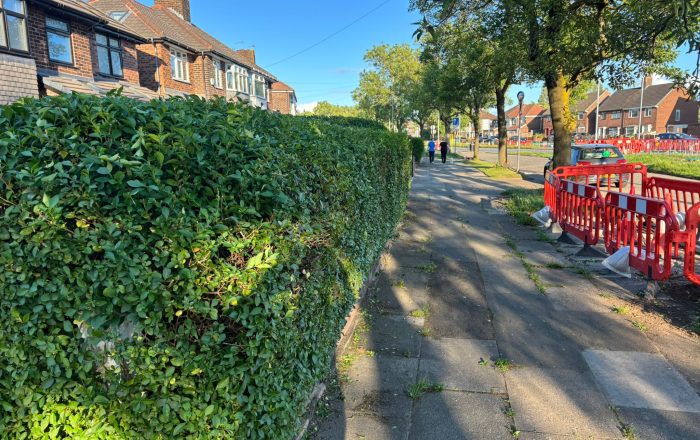 liverpool garden clearance after1